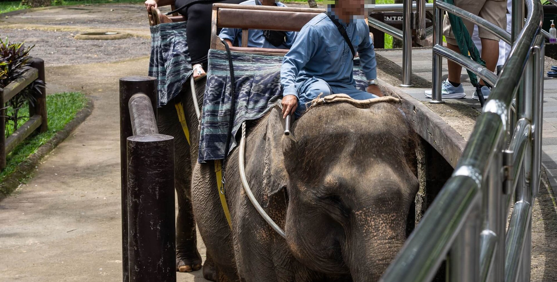 Elephant riding at Mason Elephant Park. Credit: Andito Wasi / World Animal Protection